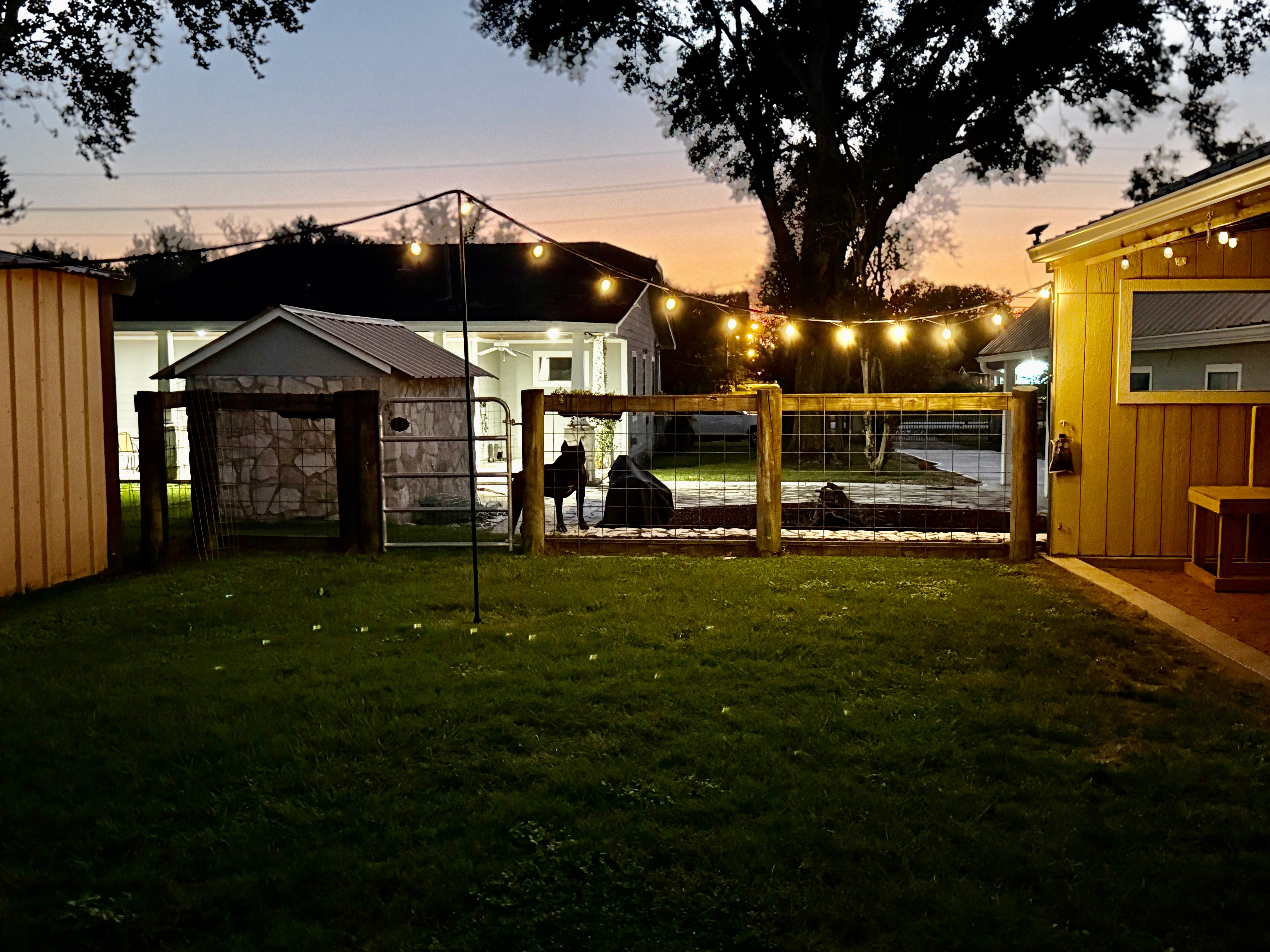 Evening view of All Dogs Training Co Houston facility with welcoming atmosphere and professional lighting