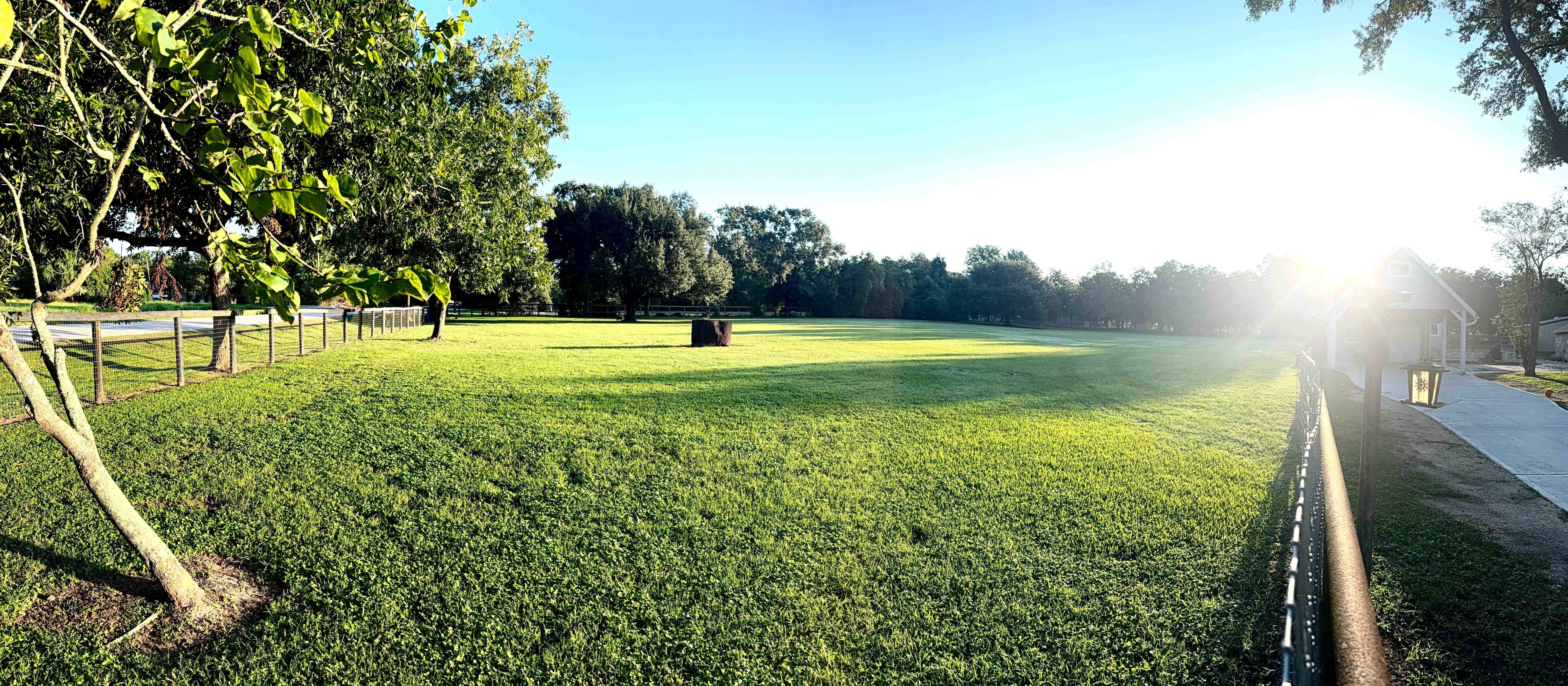 Large outdoor training fields for dog obedience and recall training in Houston