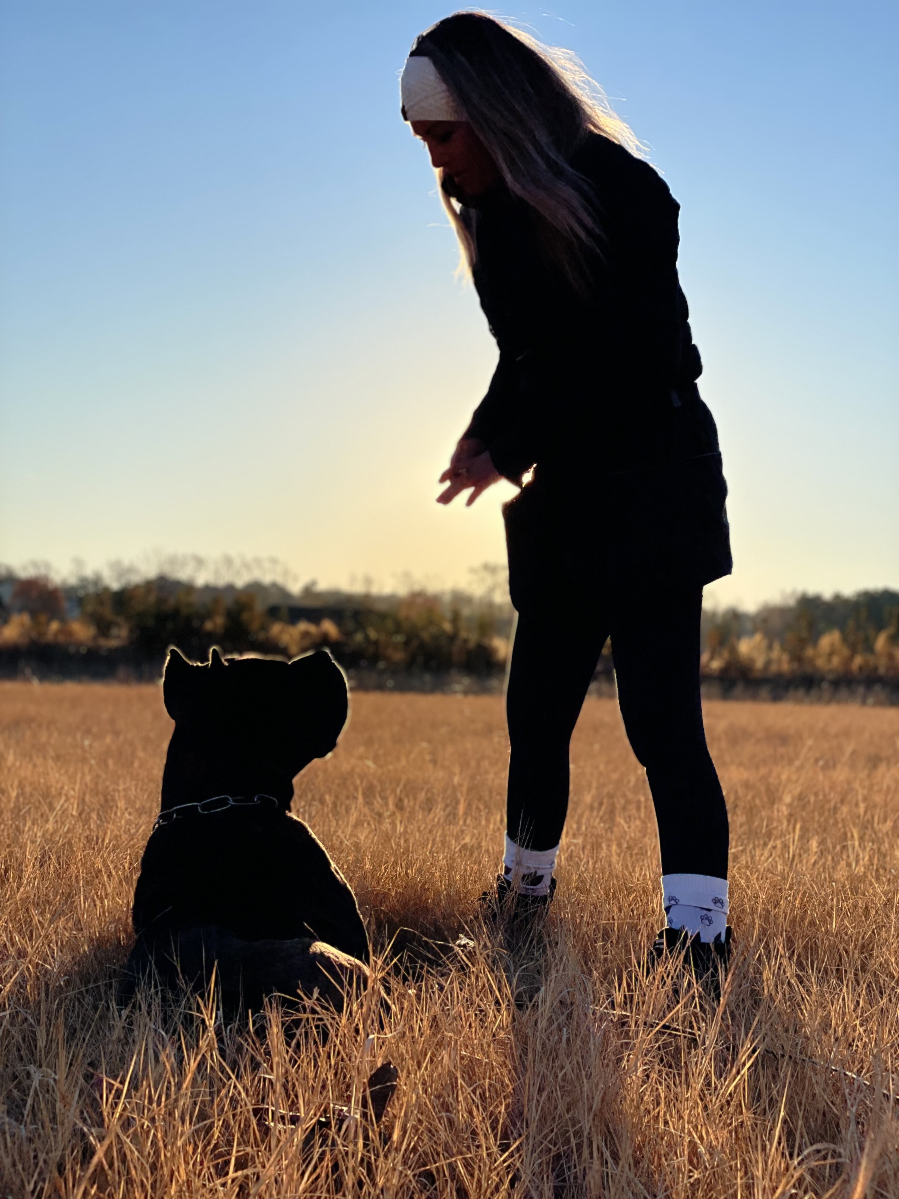 Professional dog trainer working with dog at golden hour in training field